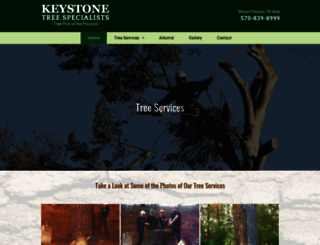 keystonetreespecialists.com screenshot
