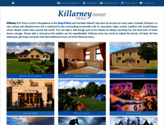killarney-insight.com screenshot