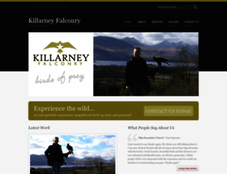 killarneyfalconry.com screenshot