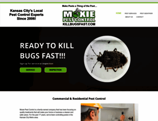 killbugsfast.com screenshot