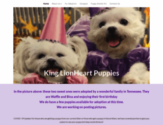 kinglionheartpuppies.com screenshot