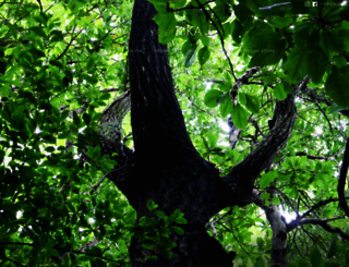 kitajimanobuyuki.com screenshot