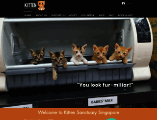 kittensanctuarysg.org screenshot