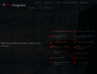 kleinlitigation.com screenshot