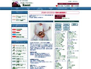 knext-co.com screenshot