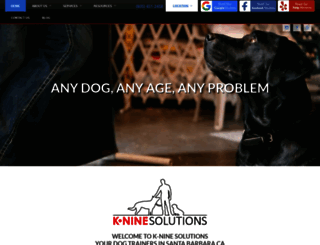 kninesolutions.com screenshot