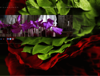 kokkinos-flowers.gr screenshot