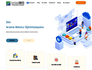 kolayseo.com screenshot