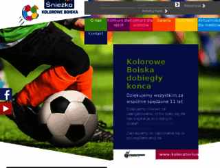 koloroweboiska.pl screenshot