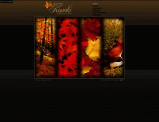 konakihotel-pelion.com screenshot