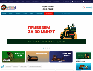 kotovaskino.ru screenshot