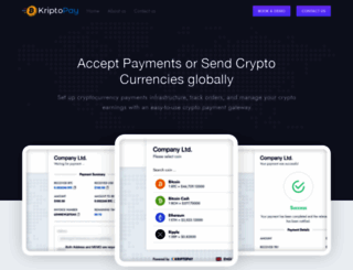 kriptopay.com screenshot