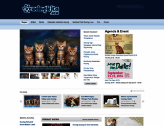 kucingkita.com screenshot