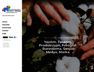 kulturmedya.com screenshot