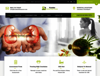 kundankidneycare.com screenshot