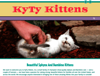 kytykittens.com screenshot