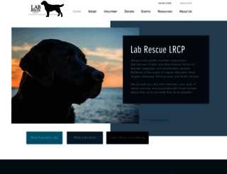 lab-rescue.org screenshot