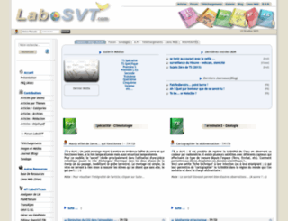 labosvt.com screenshot