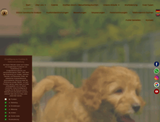 labradoodle-welpen.de screenshot