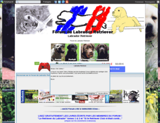 labrador.forumgratuit.ro screenshot