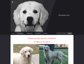 labrienglishgoldens.com screenshot