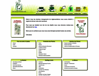 laceintureverte.com screenshot