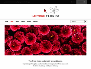 ladybugflorist.com screenshot