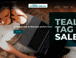 lakeshorecarpetonemuskegon.com screenshot