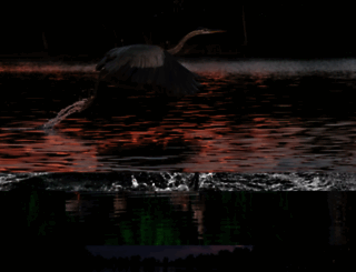 lakeshorevillage.org screenshot