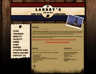 landrys-labradors.com screenshot