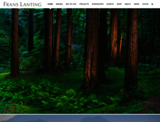 lanting.com screenshot