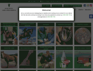 largeanimalhospital.com screenshot
