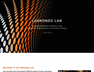 larrondolab.com screenshot