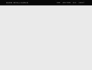 leads.bornintelligence.com screenshot