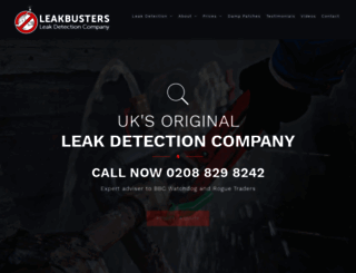 leakbusters.net screenshot