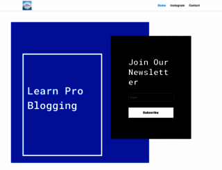 learn-pro-blogging.com screenshot