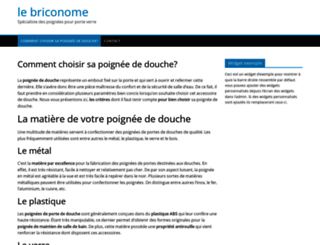 lebriconome.fr screenshot