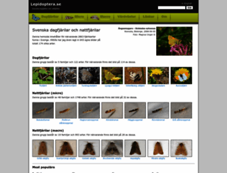 lepidoptera.se screenshot