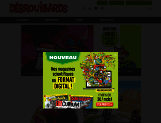 lesdebrouillards.com screenshot