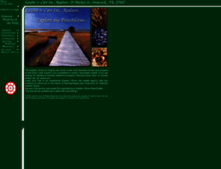 lewincarr.com screenshot