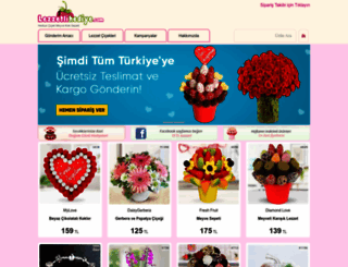 lezzetlihediye.com screenshot