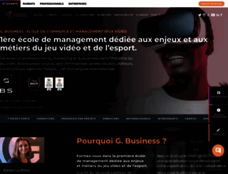 licence-marketing-digital.fr screenshot