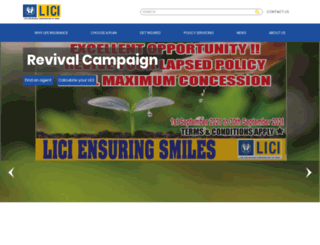 licifiji.com screenshot