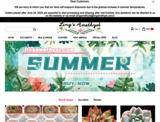 lingamethyst.com screenshot