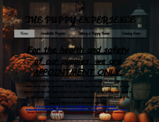 lipuppy.com screenshot