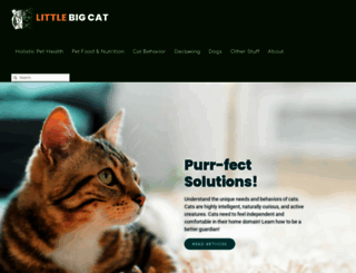littlebigcat.com screenshot