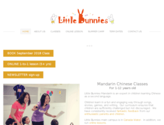 littlebunnieseducation.com screenshot