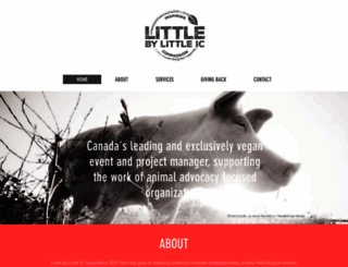 littlebylittleic.com screenshot