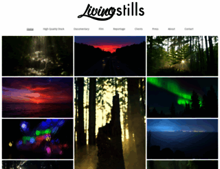 livingstills.nl screenshot