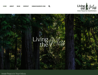 livingthemess.com screenshot